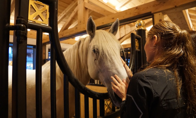 cheval centre équestre.jpg